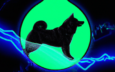 Shiba Inu Whale Alert Massive SHIB Accumulation Signals 100x Potential