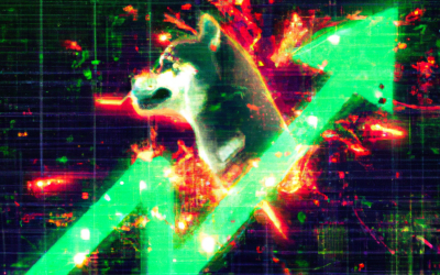 Shiba Inu Whale Alert Massive Buy Signals 10x Potential This Week