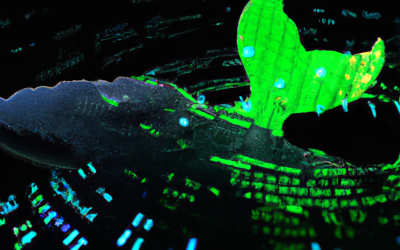 Altcoin Whale Alert Massive Accumulation Signals 10x Potential