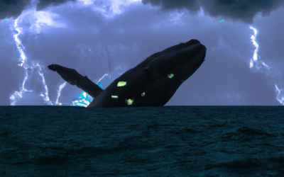 Bitcoin Whale Alert Hidden Bearish Divergence Signals Crash?